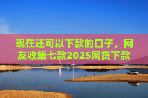 现在还可以下款的口子，网友收集七款2025网贷下款口子