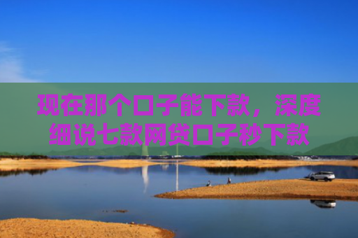 现在那个口子能下款，深度细说七款网贷口子秒下款