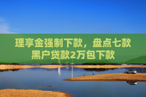理享金强制下款，盘点七款黑户贷款2万包下款