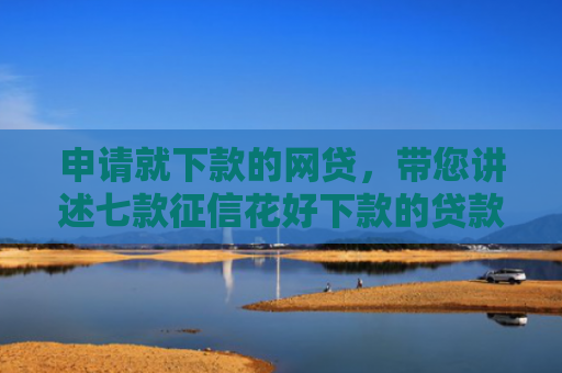 申请就下款的网贷，带您讲述七款征信花好下款的贷款