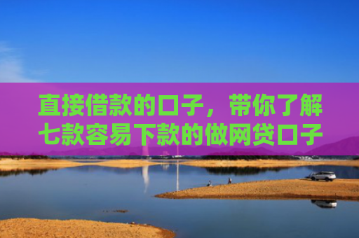 直接借款的口子，带你了解七款容易下款的做网贷口子