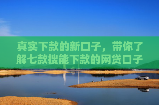 真实下款的新口子，带你了解七款搜能下款的网贷口子