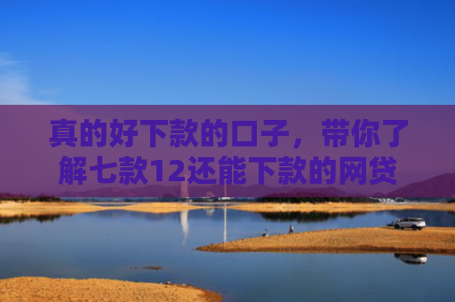 真的好下款的口子，带你了解七款12还能下款的网贷口子