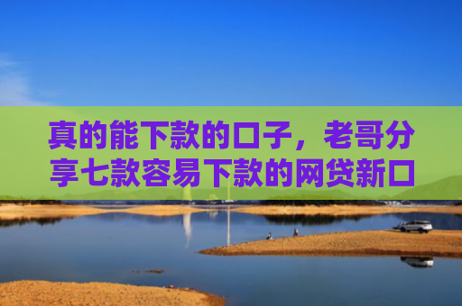 真的能下款的口子，老哥分享七款容易下款的网贷新口子