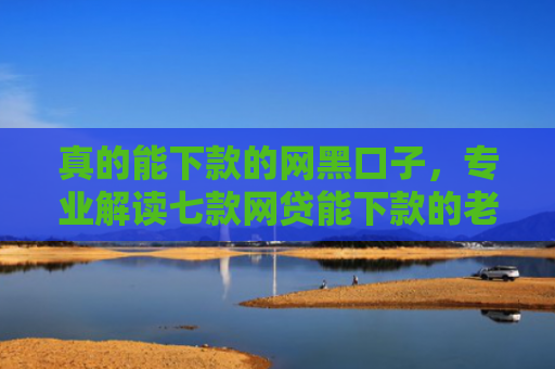 真的能下款的网黑口子，专业解读七款网贷能下款的老口子