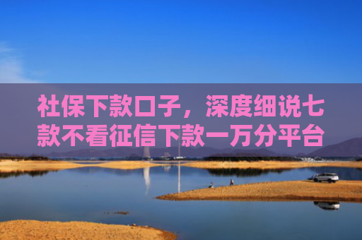 社保下款口子，深度细说七款不看征信下款一万分平台