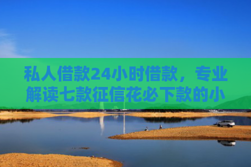 私人借款24小时借款，专业解读七款征信花必下款的小额贷款