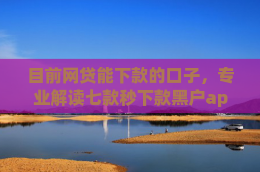 目前网贷能下款的口子，专业解读七款秒下款黑户app6