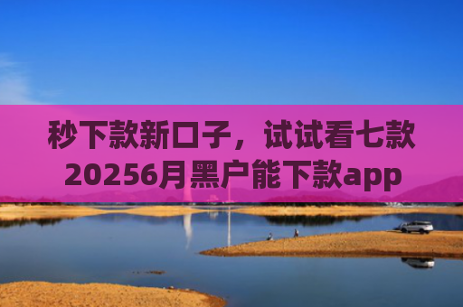 秒下款新口子，试试看七款20256月黑户能下款app