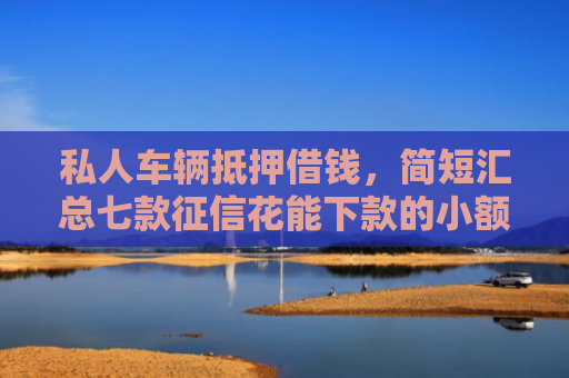 私人车辆抵押借钱，简短汇总七款征信花能下款的小额贷款