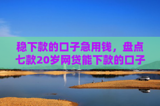 稳下款的口子急用钱，盘点七款20岁网贷能下款的口子