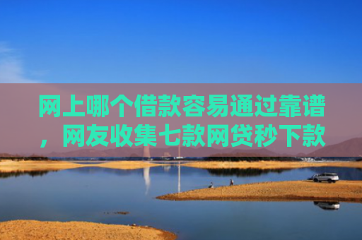 网上哪个借款容易通过靠谱，网友收集七款网贷秒下款的口子