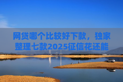 网贷哪个比较好下款，独家整理七款2025征信花还能下款的app