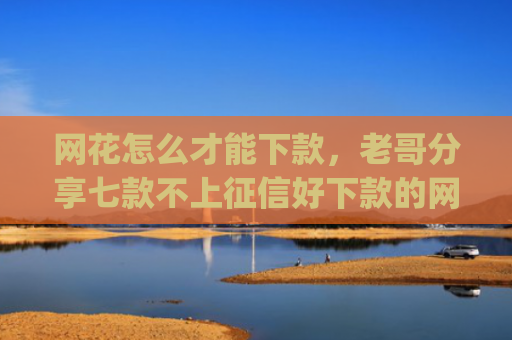 网花怎么才能下款，老哥分享七款不上征信好下款的网贷app