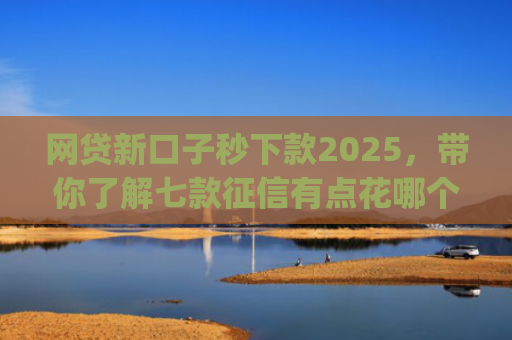 网贷新口子秒下款2025，带你了解七款征信有点花哪个app可以下款