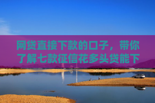网贷直接下款的口子，带你了解七款征信花多头贷能下款的app