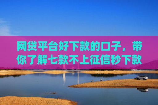 网贷平台好下款的口子，带你了解七款不上征信秒下款的app