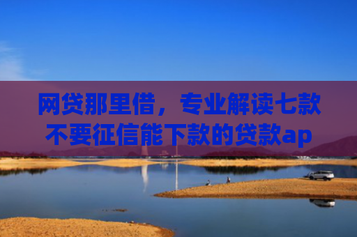 网贷那里借，专业解读七款不要征信能下款的贷款app