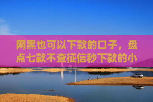 网黑也可以下款的口子，盘点七款不查征信秒下款的小额贷款app