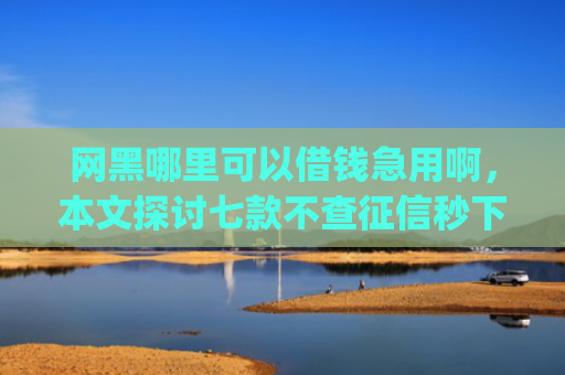 网黑哪里可以借钱急用啊，本文探讨七款不查征信秒下款的网贷app