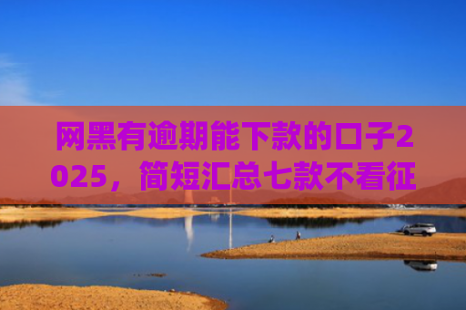网黑有逾期能下款的口子2025，简短汇总七款不看征信能下款的app2025年