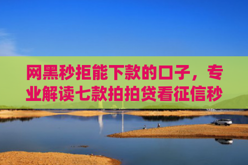 网黑秒拒能下款的口子，专业解读七款拍拍贷看征信秒下款的app