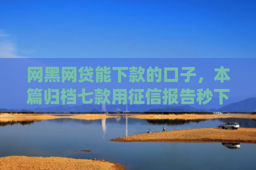 网黑网贷能下款的口子，本篇归档七款用征信报告秒下款的app6