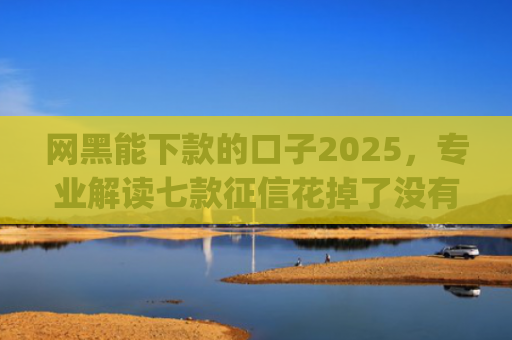网黑能下款的口子2025，专业解读七款征信花掉了没有一家app下款