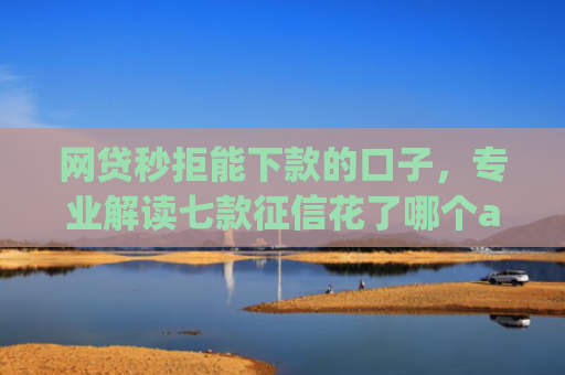 网贷秒拒能下款的口子，专业解读七款征信花了哪个app可以下款