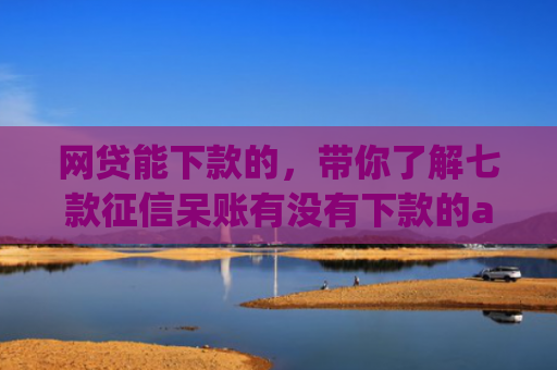 网贷能下款的，带你了解七款征信呆账有没有下款的app