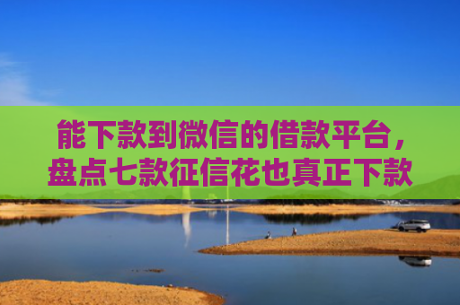 能下款到微信的借款平台，盘点七款征信花也真正下款的网贷