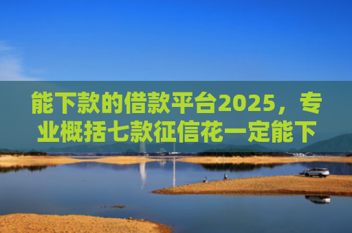 能下款的借款平台2025，专业概括七款征信花一定能下款的网贷