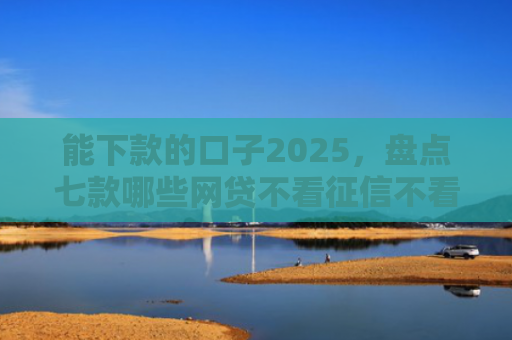 能下款的口子2025，盘点七款哪些网贷不看征信不看负债好下款