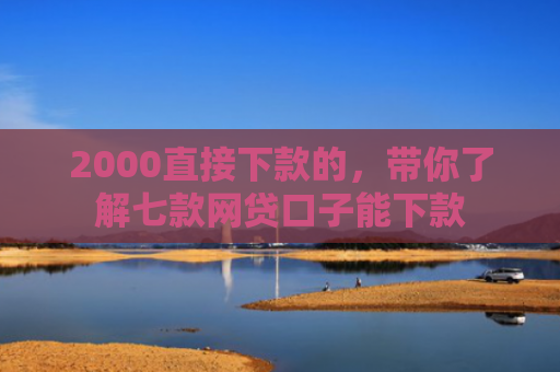 2000直接下款的，带你了解七款网贷口子能下款