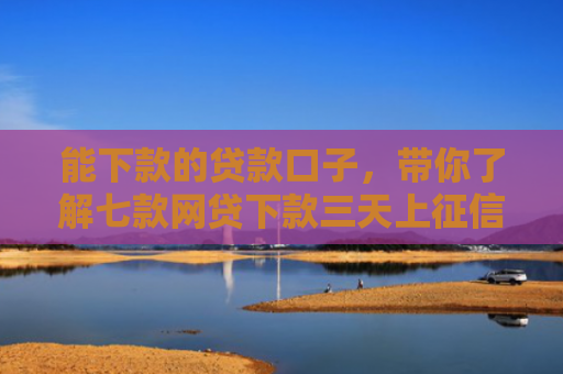 能下款的贷款口子，带你了解七款网贷下款三天上征信吗