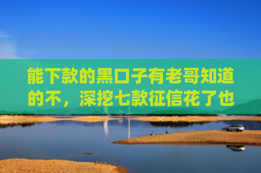 能下款的黑口子有老哥知道的不，深挖七款征信花了也能下款的网贷app