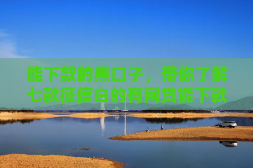 能下款的黑口子，带你了解七款征信白的有网贷能下款吗