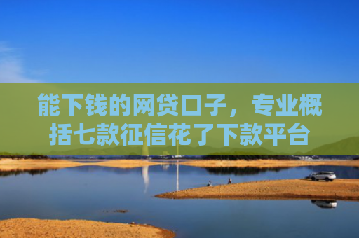 能下钱的网贷口子，专业概括七款征信花了下款平台