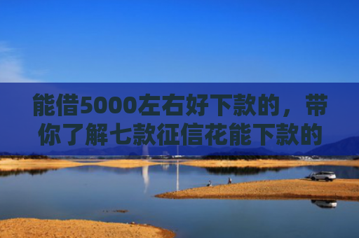 能借5000左右好下款的，带你了解七款征信花能下款的大额网贷