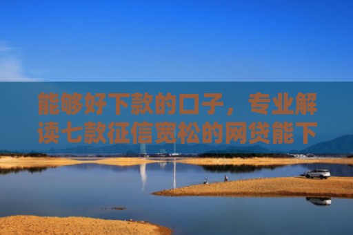 能够好下款的口子，专业解读七款征信宽松的网贷能下款吗