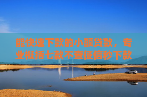 能快速下款的小额贷款，专业概括七款不查征信秒下款的网贷app