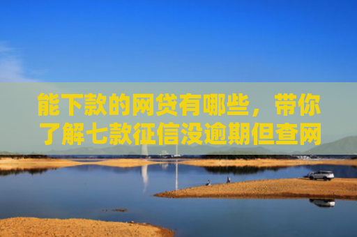 能下款的网贷有哪些，带你了解七款征信没逾期但查网贷多久能下款