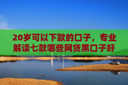 20岁可以下款的口子，专业解读七款哪些网贷黑口子好下款