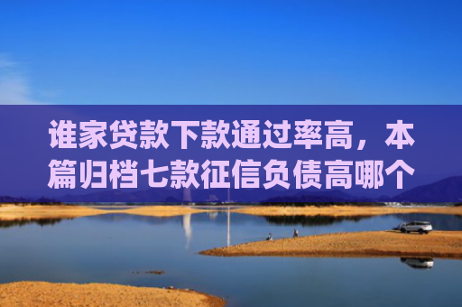 谁家贷款下款通过率高，本篇归档七款征信负债高哪个平台好下款app