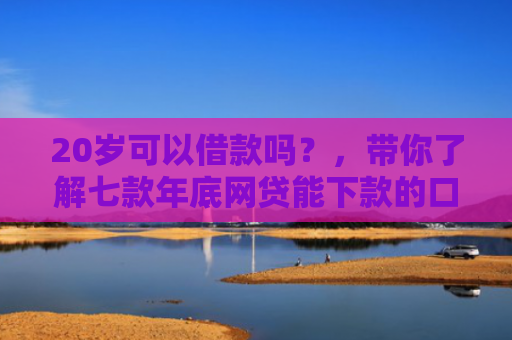 20岁可以借款吗？，带你了解七款年底网贷能下款的口子