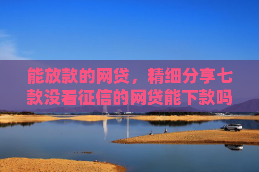能放款的网贷，精细分享七款没看征信的网贷能下款吗