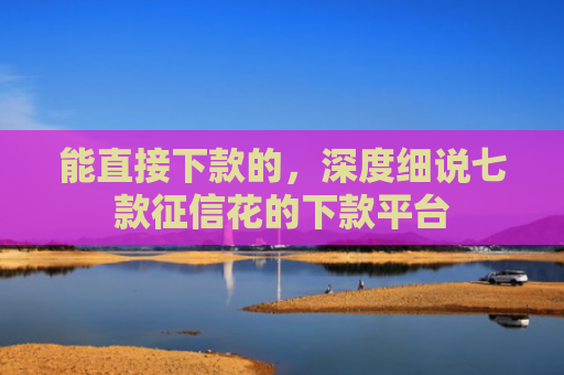 能直接下款的，深度细说七款征信花的下款平台