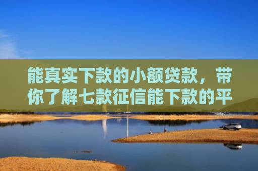 能真实下款的小额贷款，带你了解七款征信能下款的平台