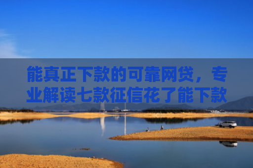 能真正下款的可靠网贷，专业解读七款征信花了能下款平台