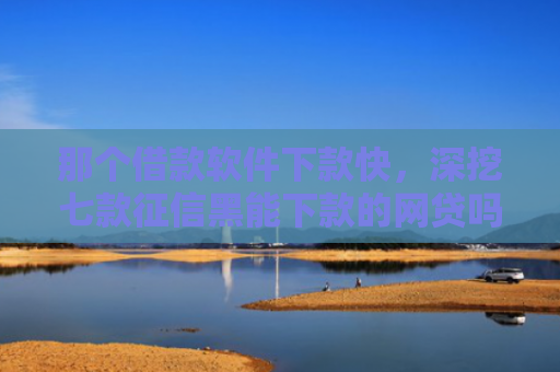 那个借款软件下款快，深挖七款征信黑能下款的网贷吗